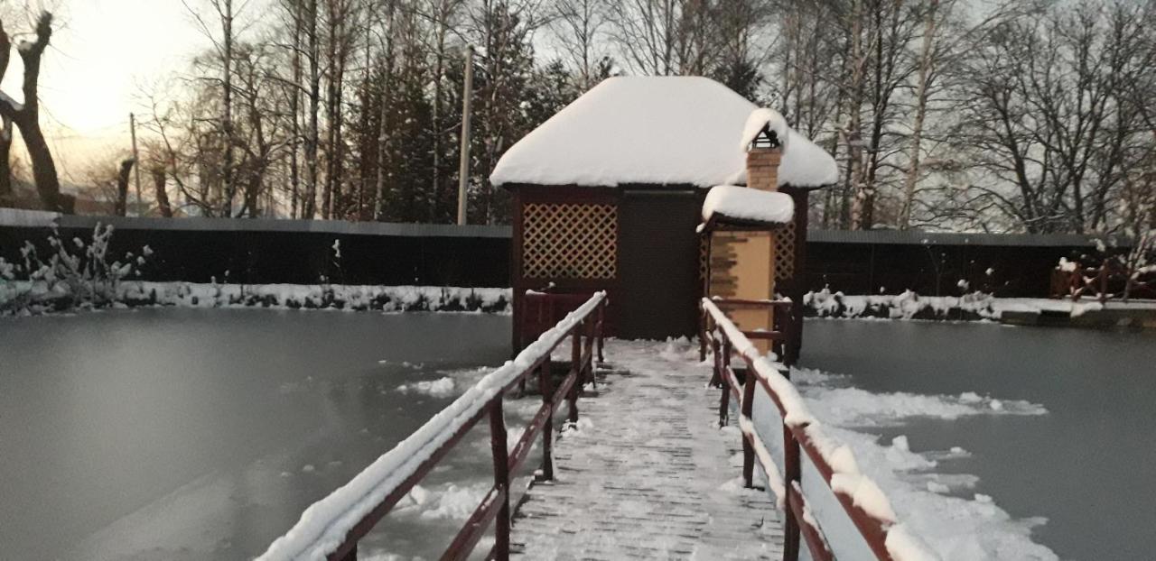 Villa На Ставку Vyzhnytsya Exterior foto